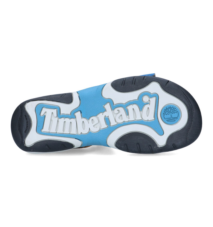 Timberland Advskr Canteen Sandales en Vert kaki pour garçons (320955)