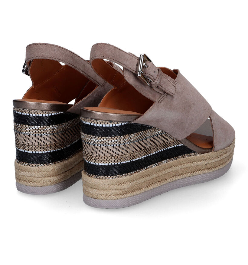 Geox Ponza Sandales en Taupe pour femmes (311572)