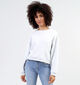 Vila Minna Grijze Loose sweater voor dames (350565)