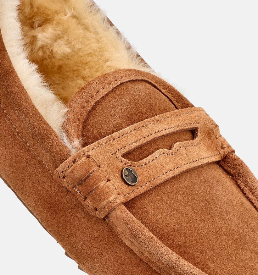 Warmbat Morwell Pantoufles en Cognac pour hommes (379315)