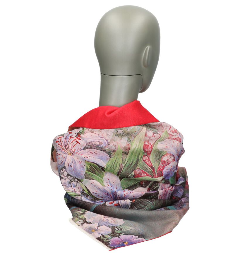 Pia Rossini Foulard en Multicolor (235202)