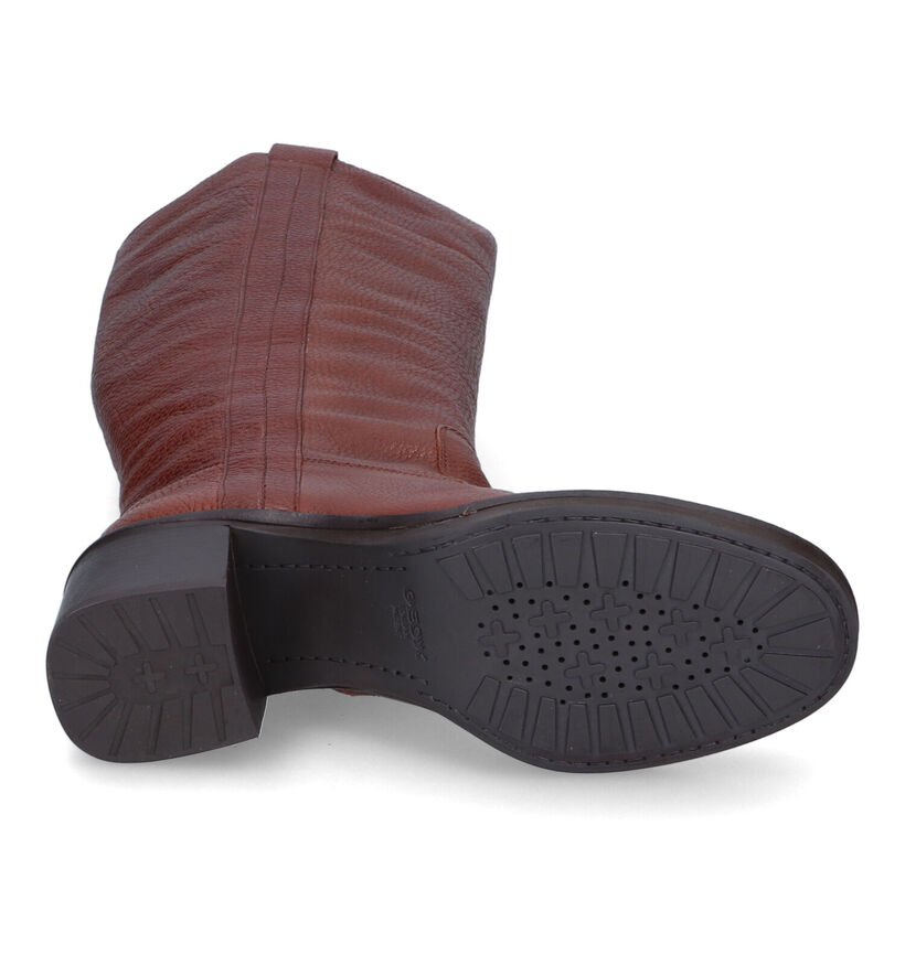 Geox Giulila Bottes en Noir en cuir (316153)