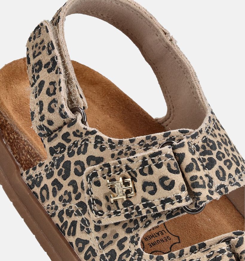 Tommy Hilfiger Sandales Leopard en Beige/Marron pour filles (368695)