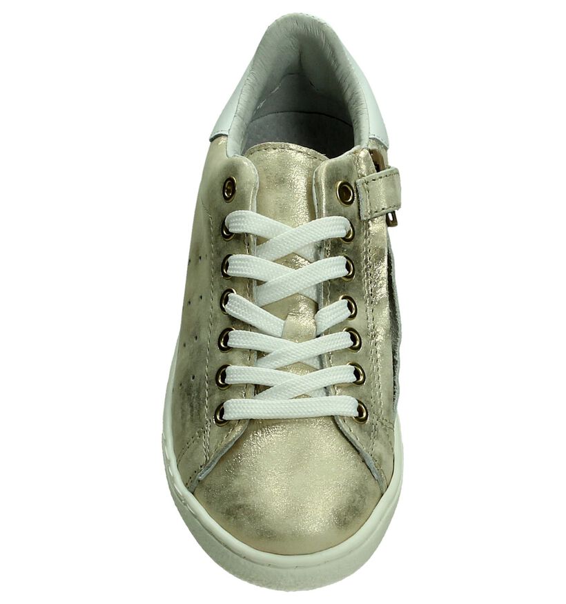 Zilveren Sneaker Hampton Bays in leer (189348)