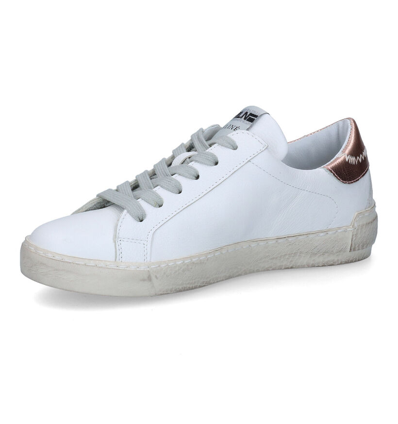 Méliné NKC Chaussures à lacets en Blanc pour femmes (306905)