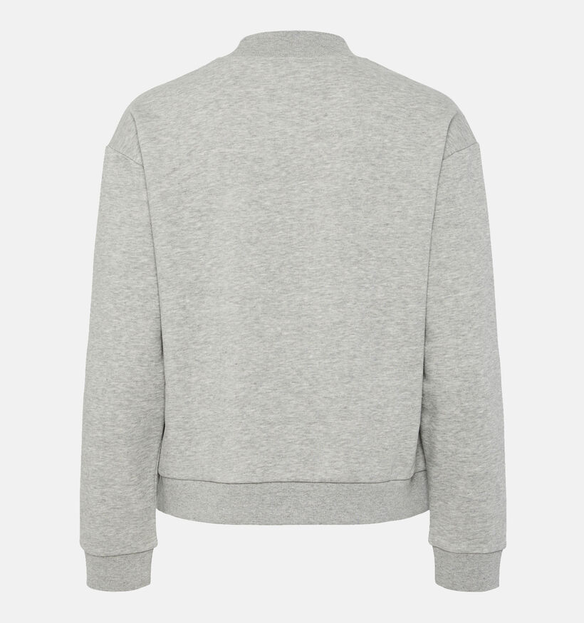 Pieces Pyra Printe Grijze Sweater voor dames (349429)