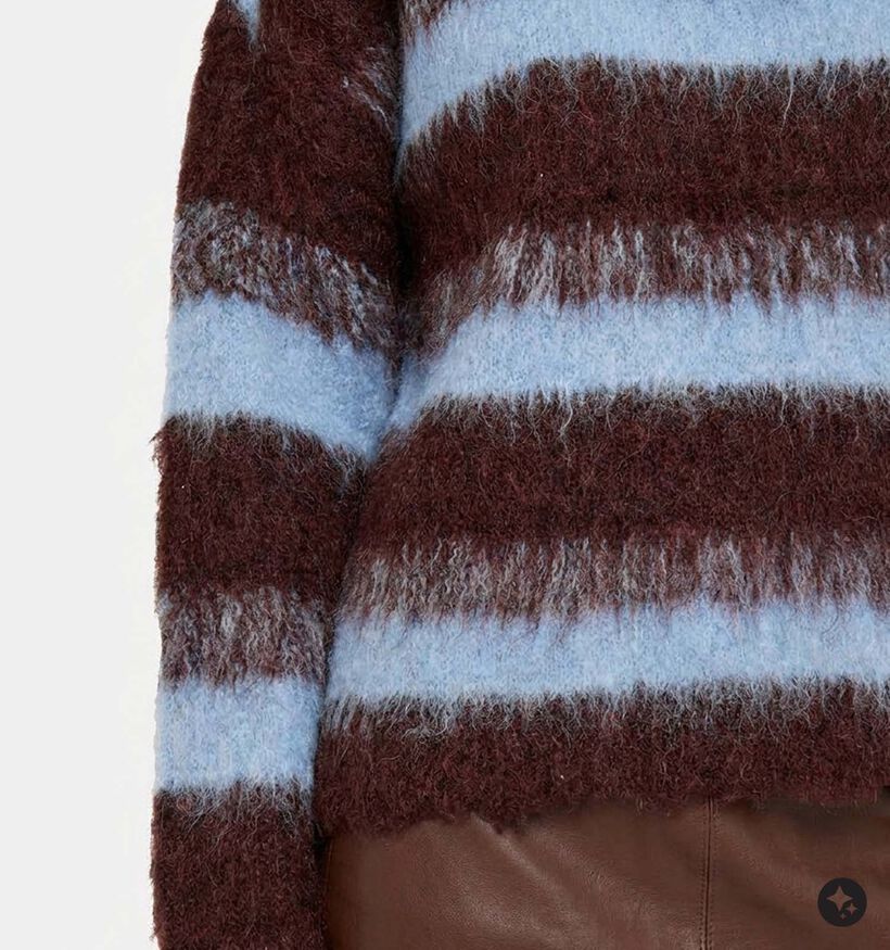 Desires Saida Blauwe/Bruine Trui voor dames (379185)