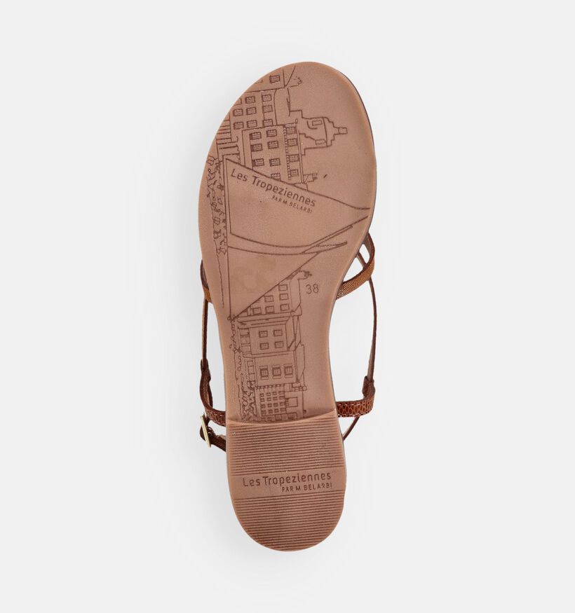 Les Tropeziennes Monagum Cognac Sandalen voor dames (373233)