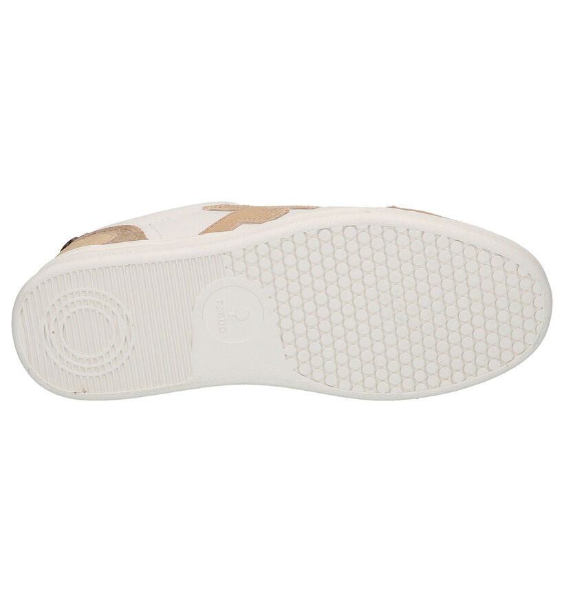 Faguo Hazel Baskets en Blanc en cuir (288224)