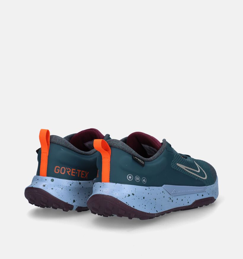 Nike Juniper Trail 2 GTX Groene Sneakers voor heren (332515)