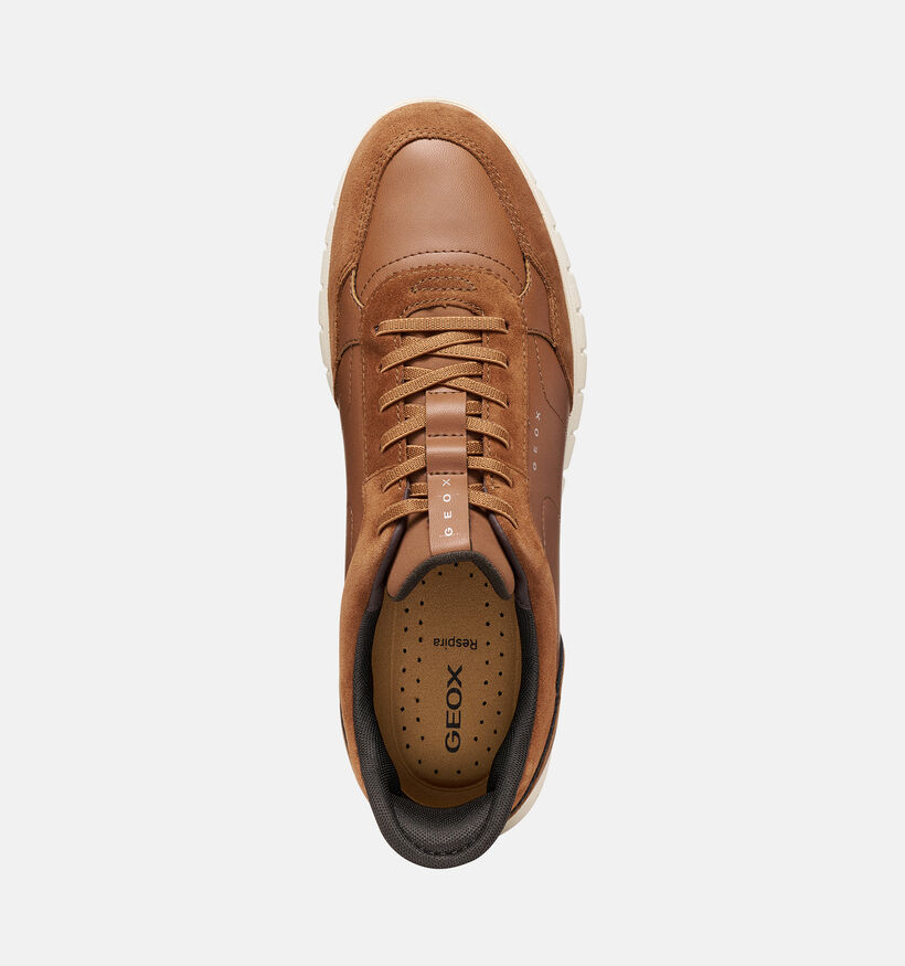 Geox Flextridezero Plus Chaussures plates en Cognac pour hommes (376361) - pour semelles orthop&eacute;diques