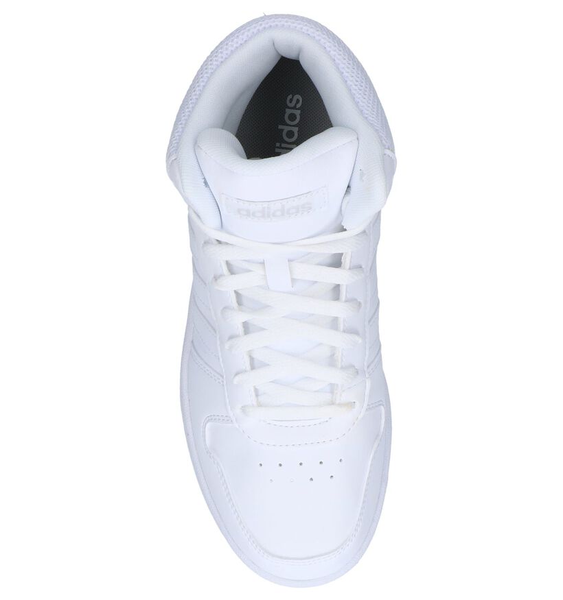 adidas Hoops Witte Sneakers voor dames (300158)