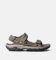 Teva Hudson Sandales de marche en Taupe pour hommes (354635)