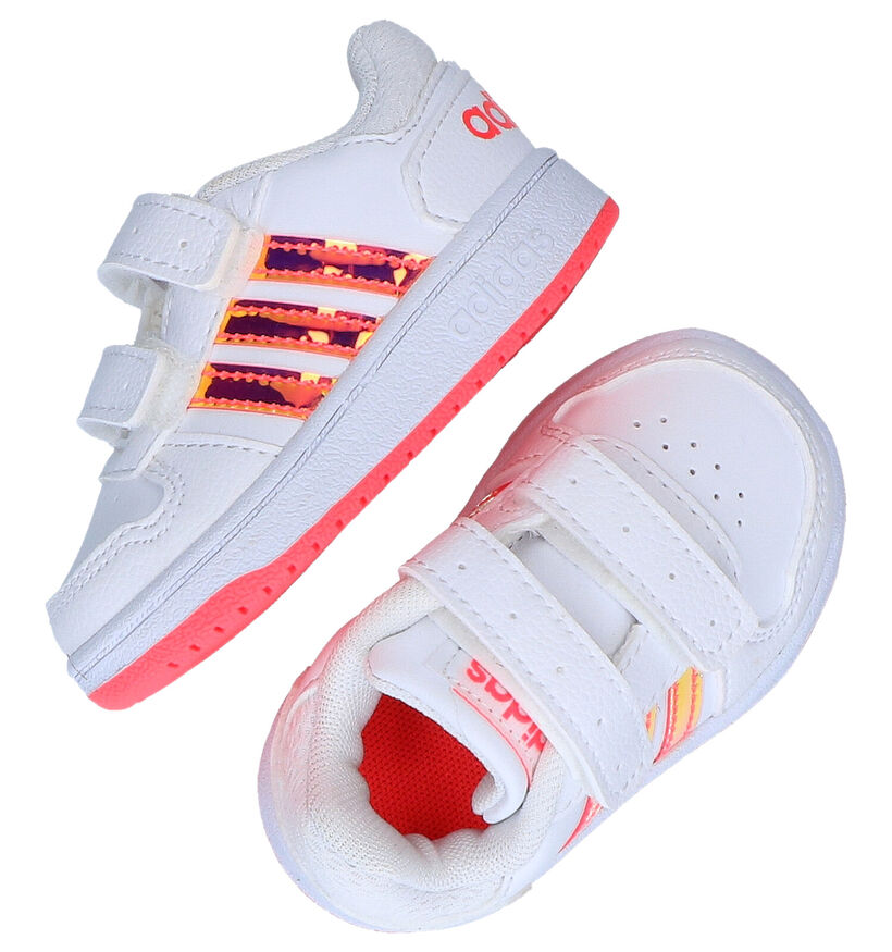 adidas Hoops Witte Sneakers in kunstleer (276579)