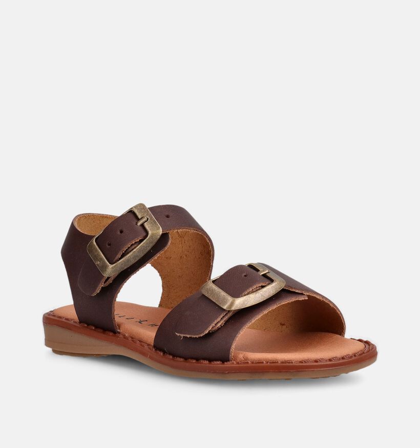 Milo & Mila Sandales en Brun fonc&eacute; pour gar&ccedil;ons, filles (373078)
