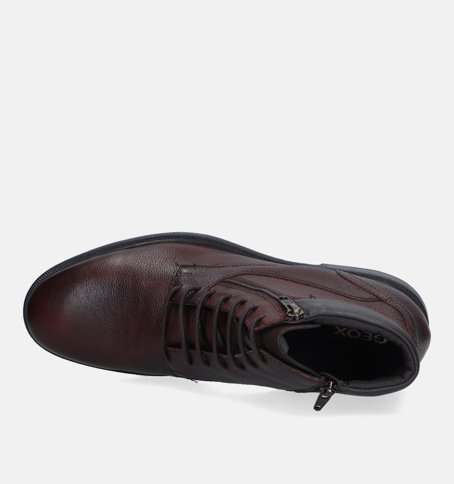 Geox terence homme best sale