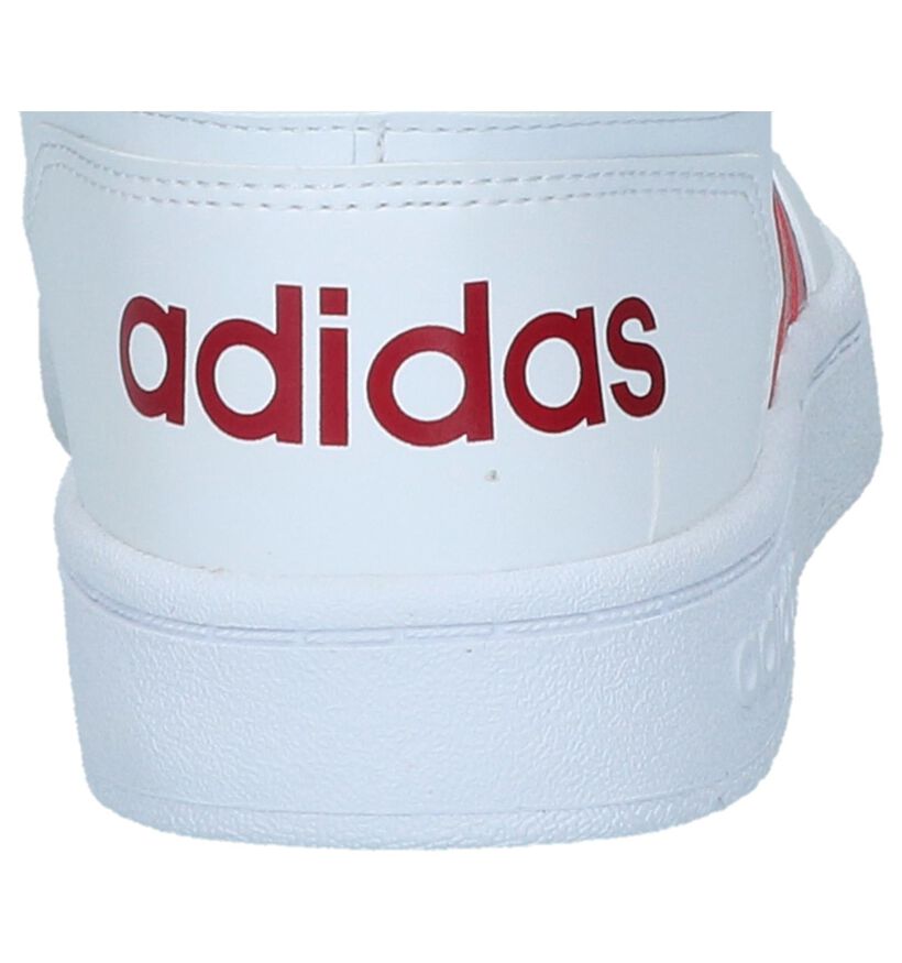 adidas Hoops Baskets en Blanc pour femmes (300158)