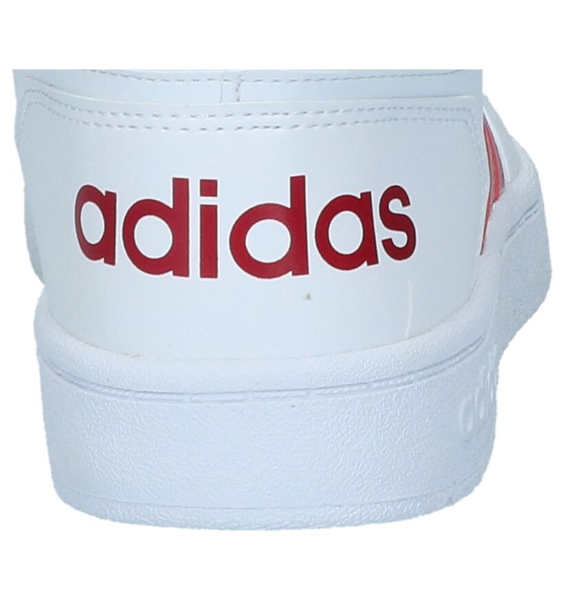 adidas Hoops Witte Sneakers voor dames (300158)