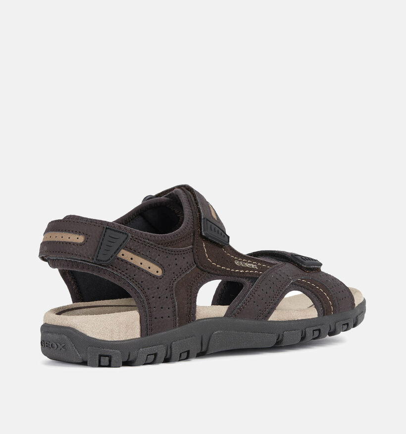 Geox Sandales en Marron pour hommes (367998)