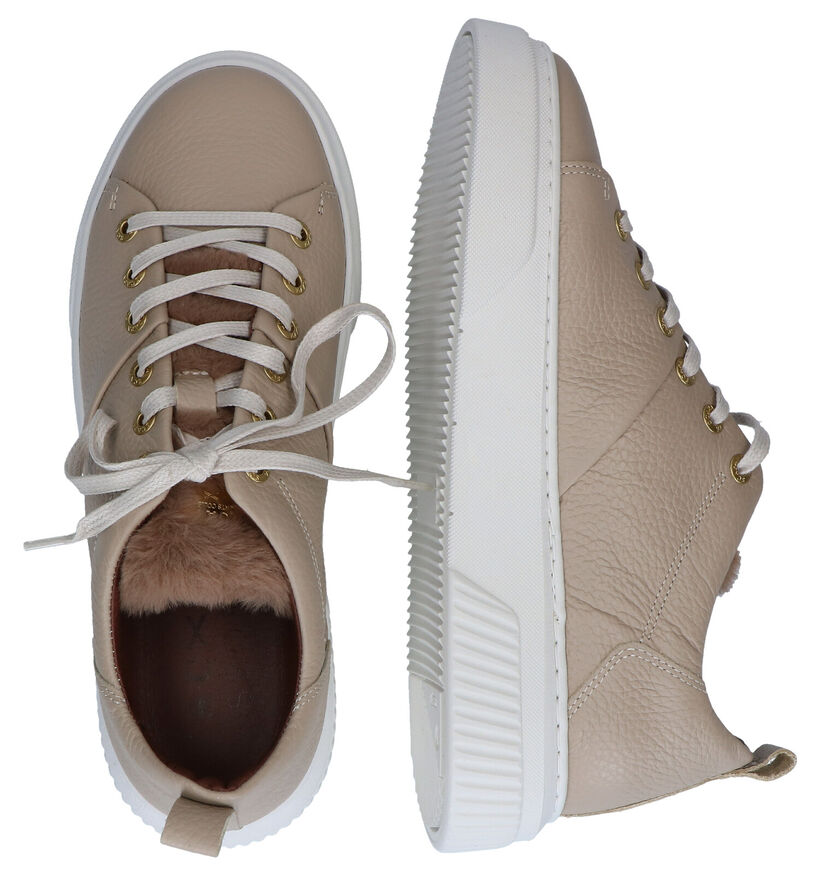 Scapa Beige Veterschoenen in leer (297901)