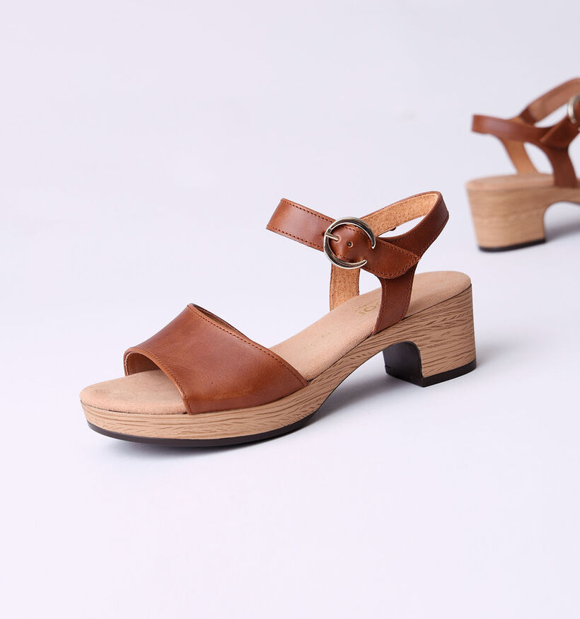Gabor Cognac Sandalen met blokhak voor dames (355105)
