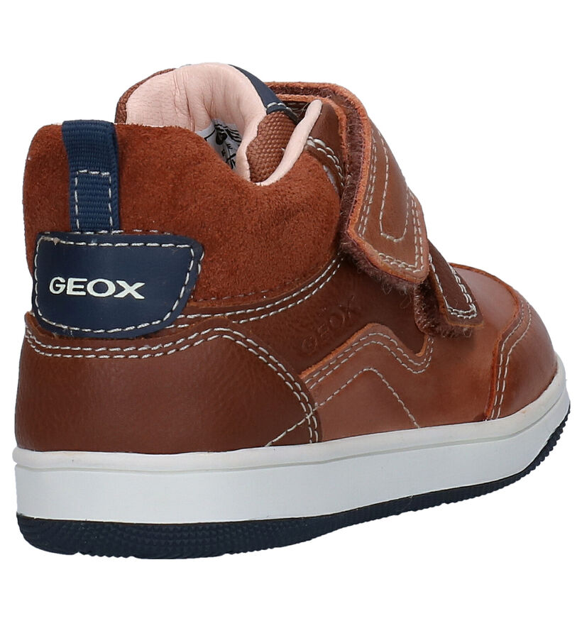 Geox Cognac Bottines in kunstleer (278316)