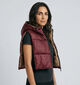 Deeluxe Original Andriva Manteau court en Bordeaux/Brun pour femmes, hommes (382288)