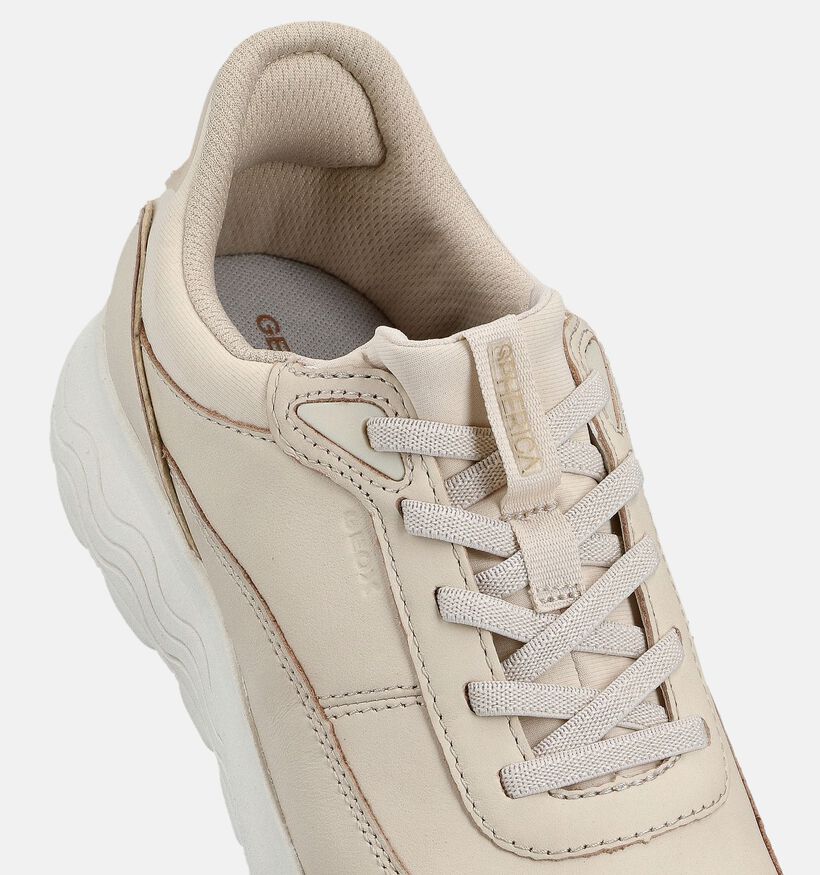 Geox Sperica Zwarte Schoenen voor dames (370988) - geschikt voor steunzolen