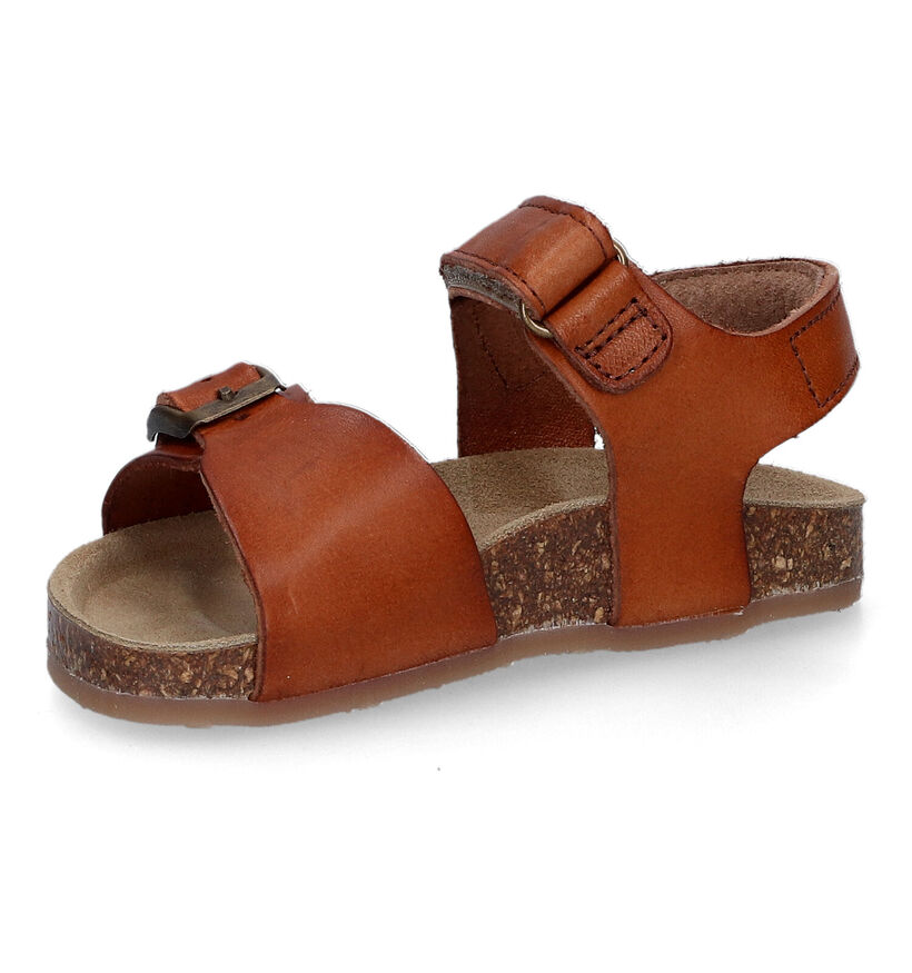 Kipling Fabio Cognac Sandalen in leer (308877)