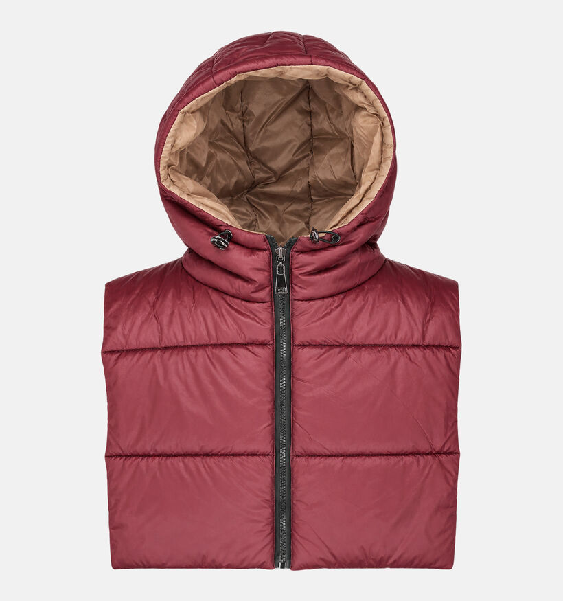 Deeluxe Original Andriva Manteau court en Bordeaux/Brun pour femmes, hommes (382288)