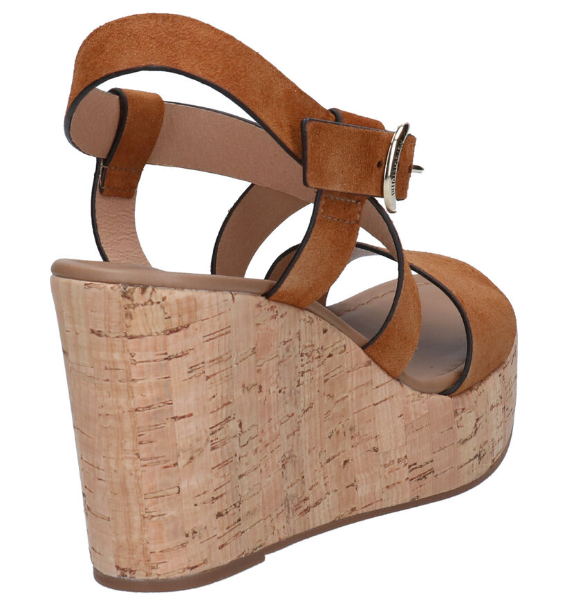 NeroGiardini Cognac Sandalen in daim (270548)