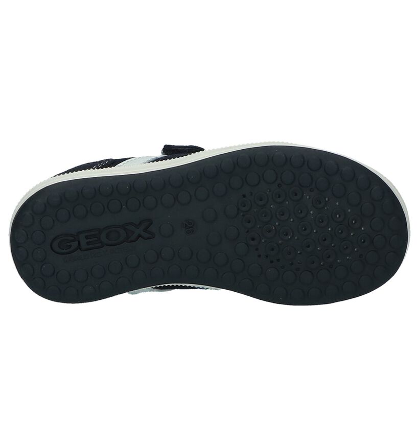 Geox Baskets basses en Bleu foncé en daim (210543)