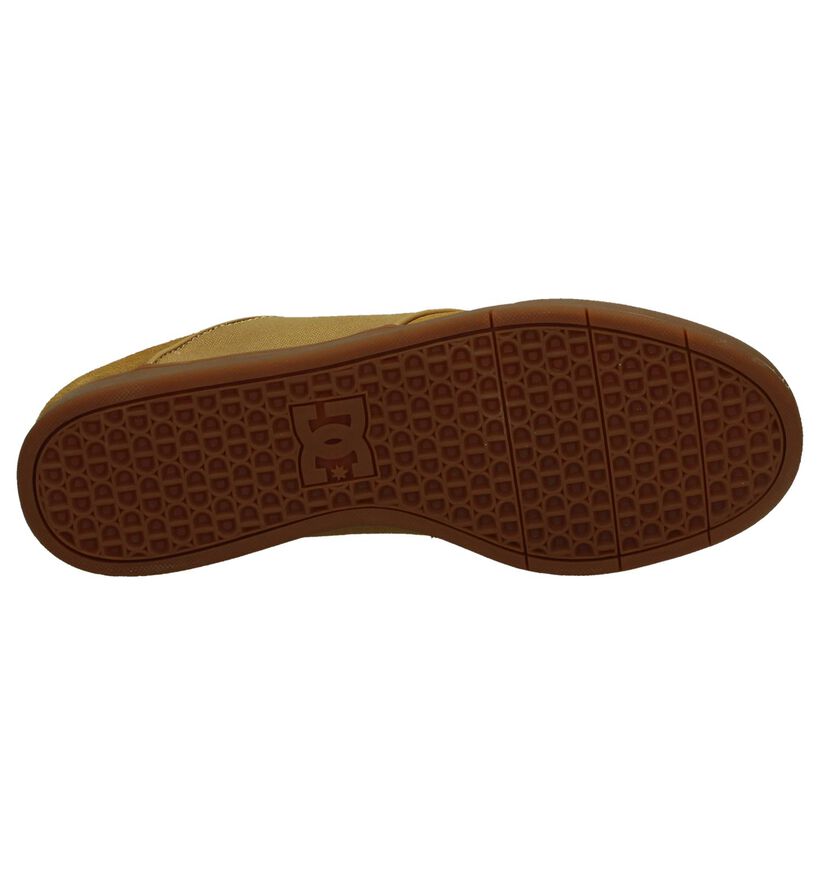 DC Shoes Baskets basses en Cognac en daim (198610)