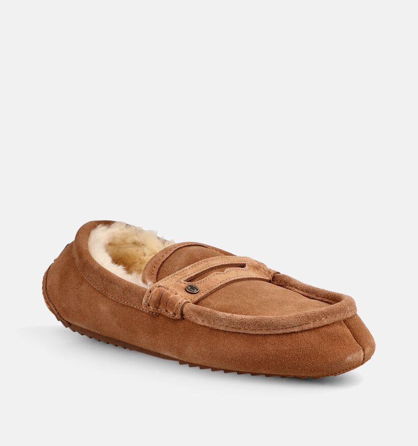 Warmbat Morwell Pantoufles en Cognac pour hommes (379315)