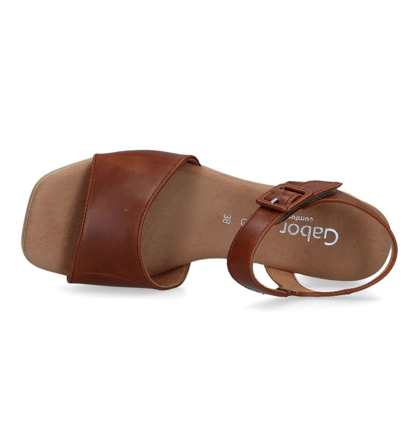 Gabor Comfort Cognac Sandalen voor dames (323359)