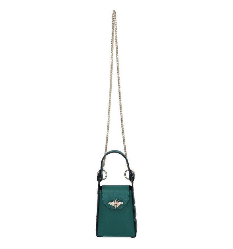 Dolce C. Groene Handtas voor dames (324258)