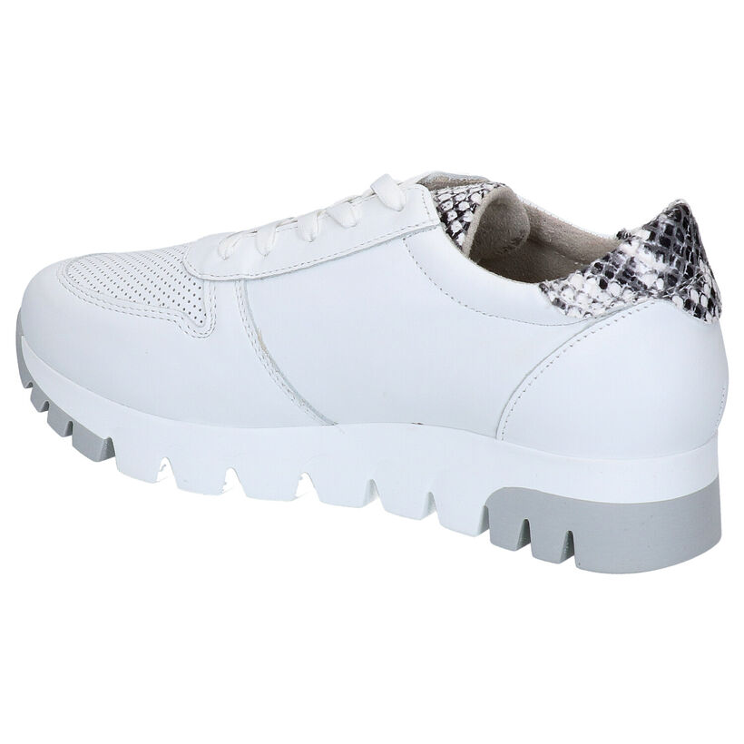 Tamaris Chaussures à lacets en Blanc en cuir (270119)