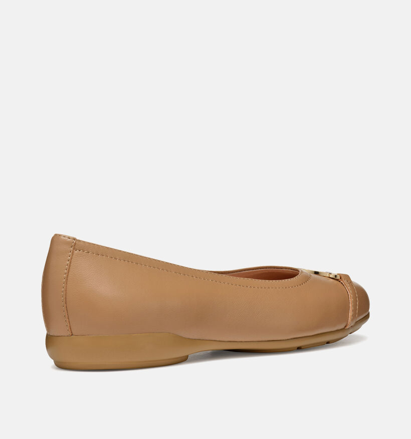 Geox Annytah Bruine Ballerina's voor dames (353760)