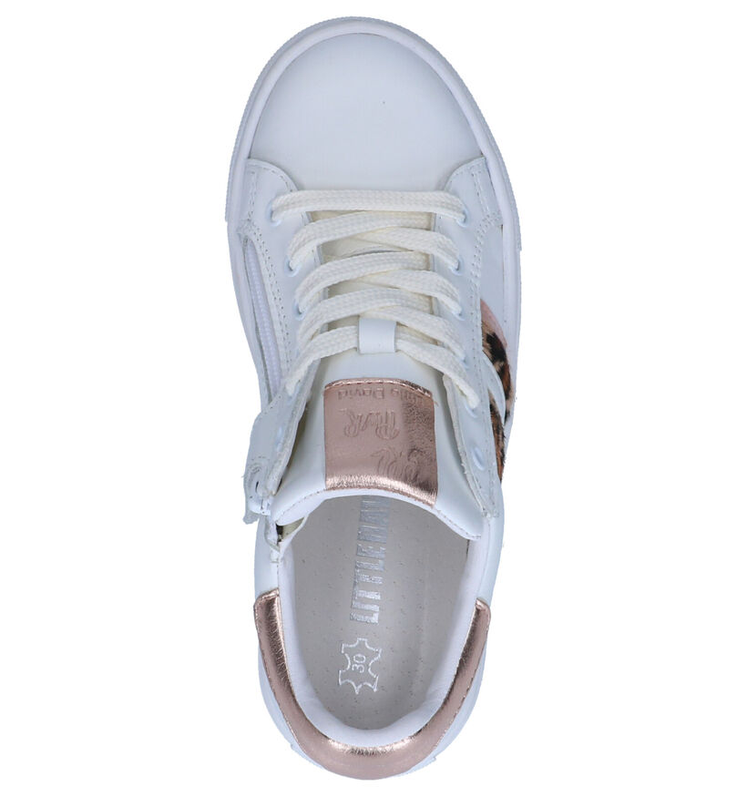Little David Selena Chaussures à Lacets en Blanc en cuir (272995)