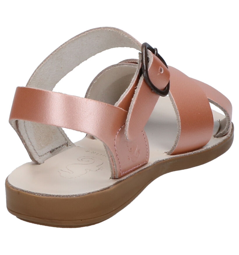 Samphire Sandales en Rose en cuir (273172)