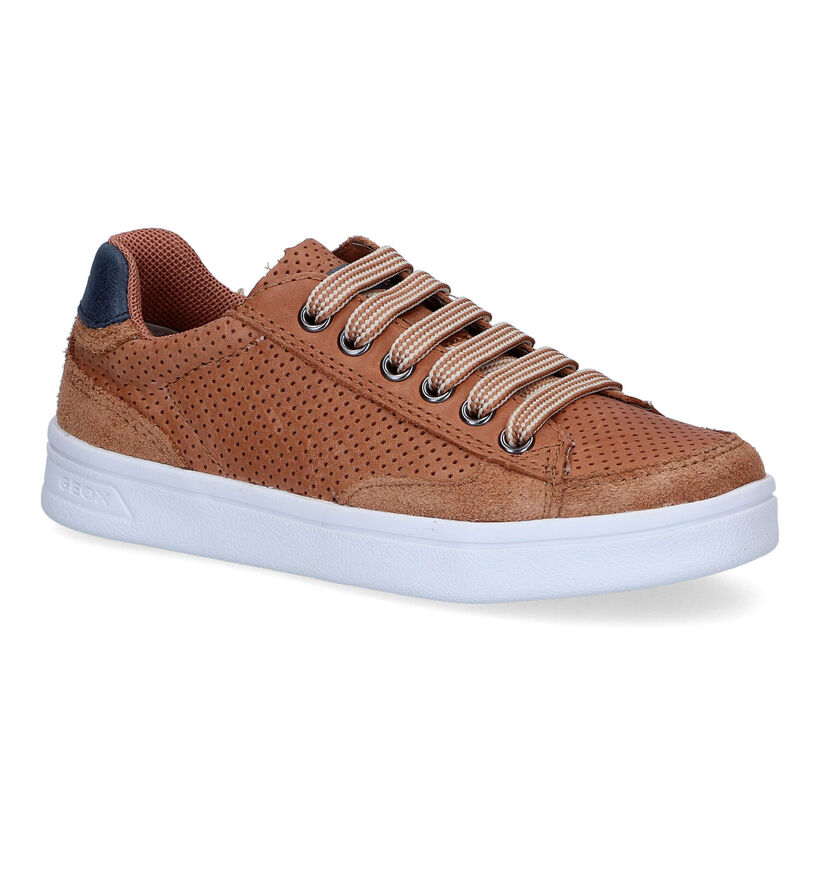 Geox Djrock Chaussures à lacets en Cognac pour garçons (308446)