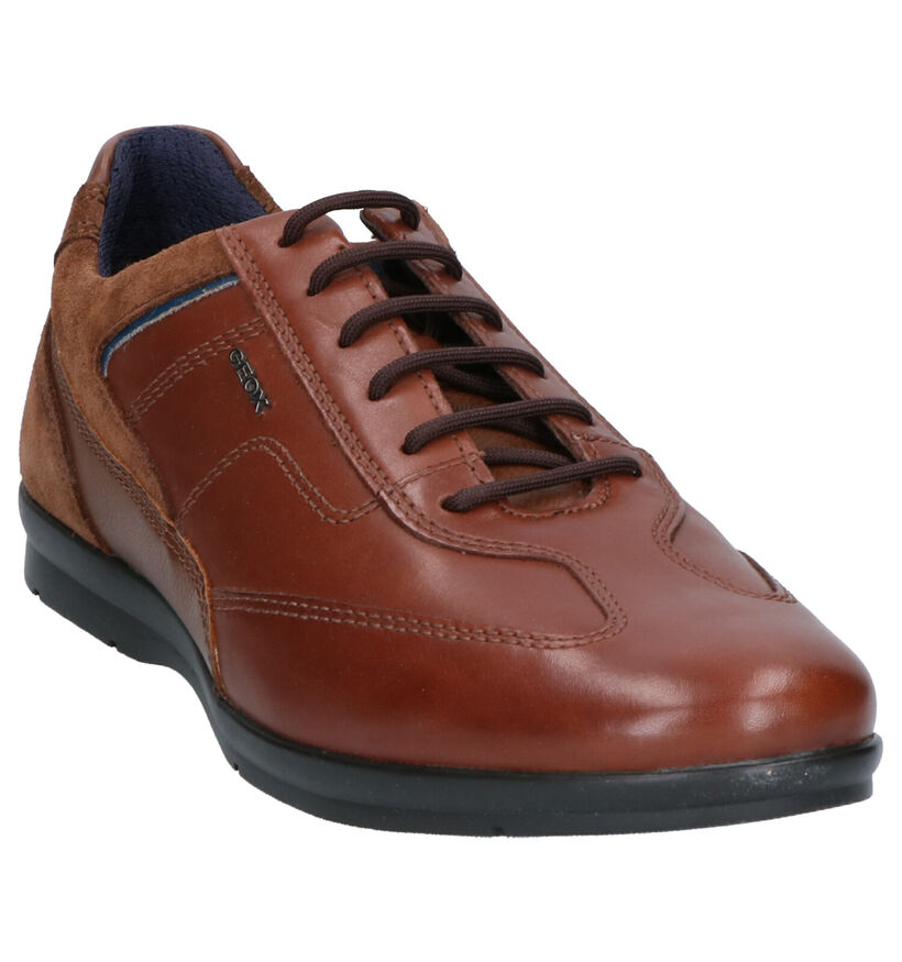 Geox Adrien Chaussures Basses en Cognac en simili cuir (255360)