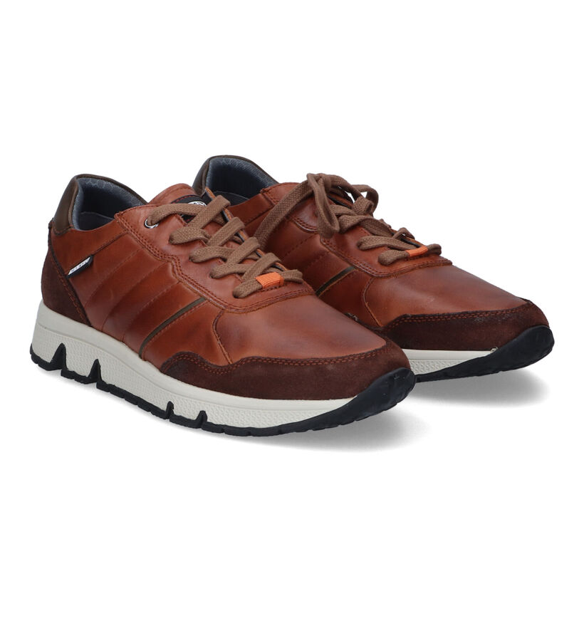 Pikolinos Ferrol Chaussures à lacets en Cognac en cuir (316614)