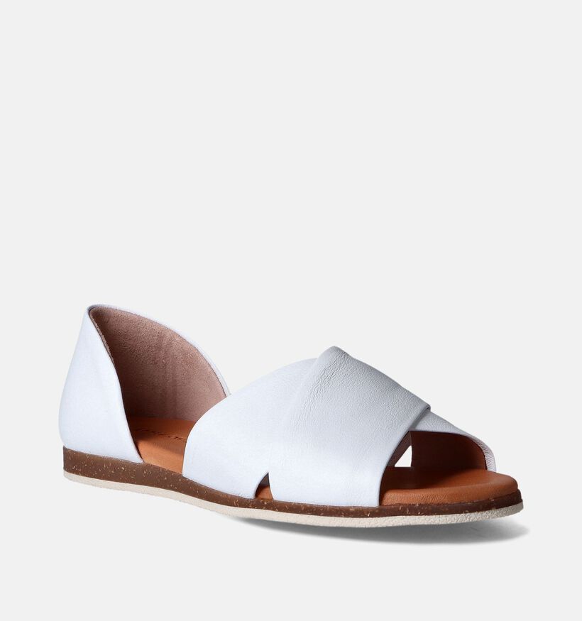 Apple of Eden Chuisi Witte Sandalen voor dames (356236)