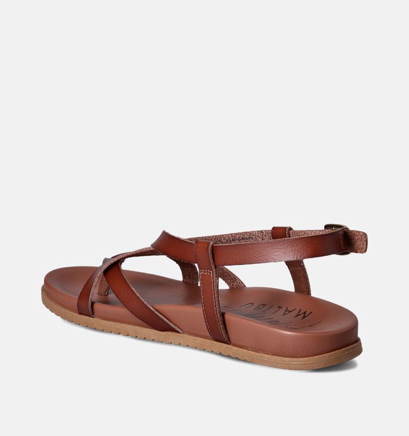 Blouwfish Malibu Camden Sandalen Cognac voor dames (355000)