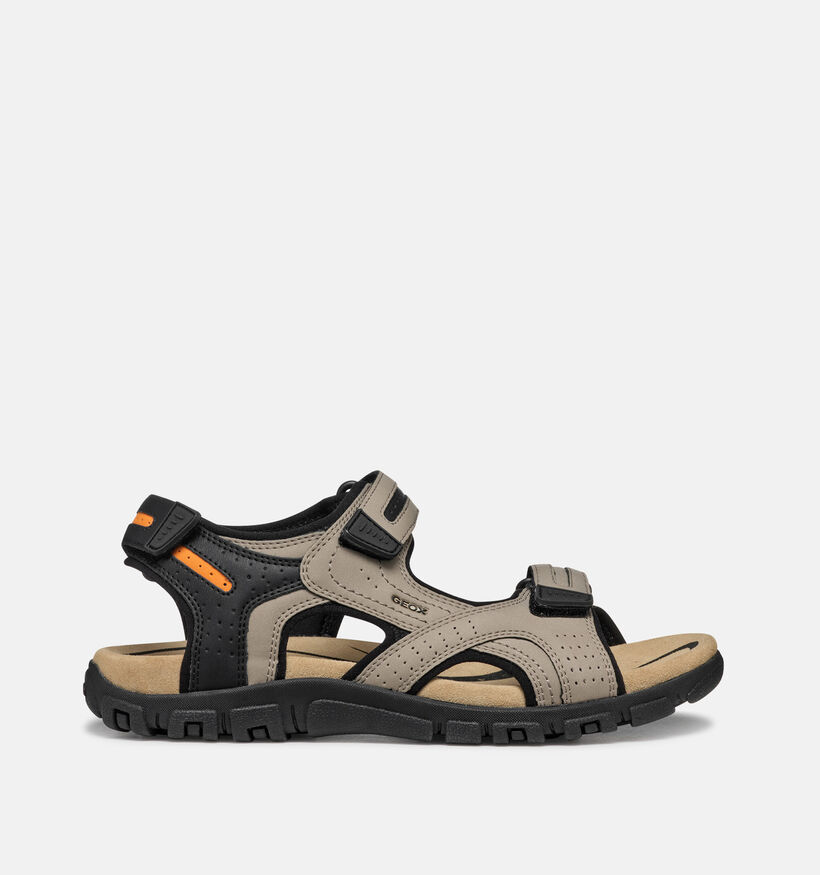 Geox Beige/Zwarte Sandalen voor heren (369122)