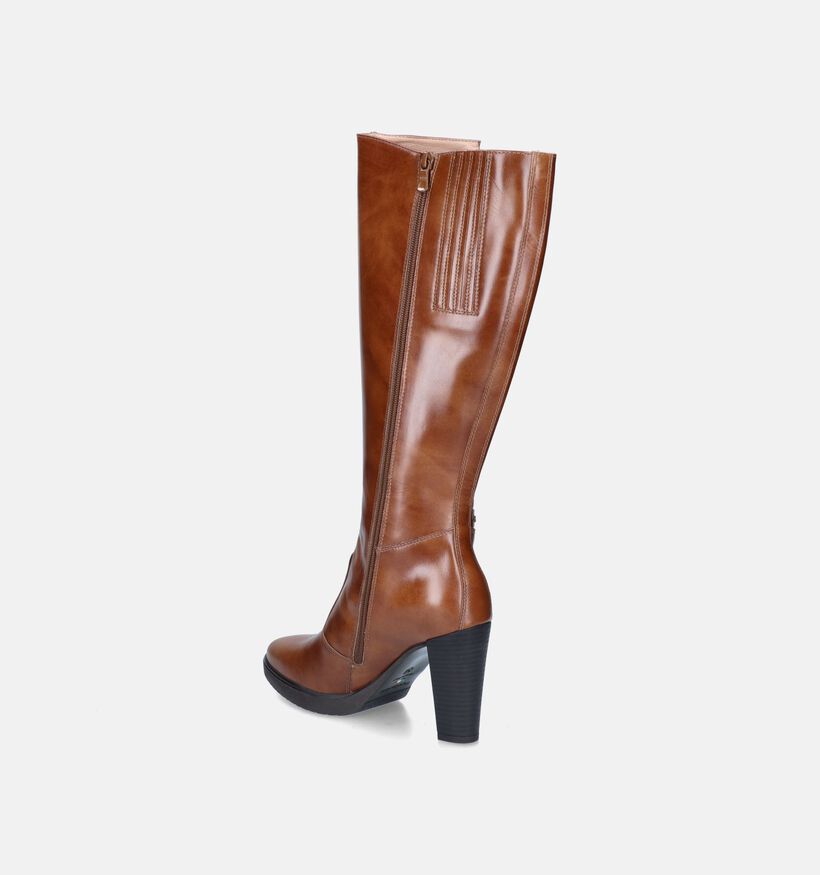 NeroGiardini Cognac Laarzen voor dames (347589)