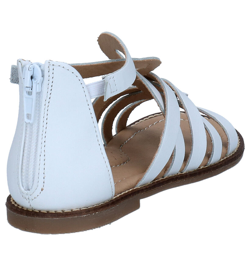 Little David Kaylee Cognac Sandalen voor meisjes (289891)