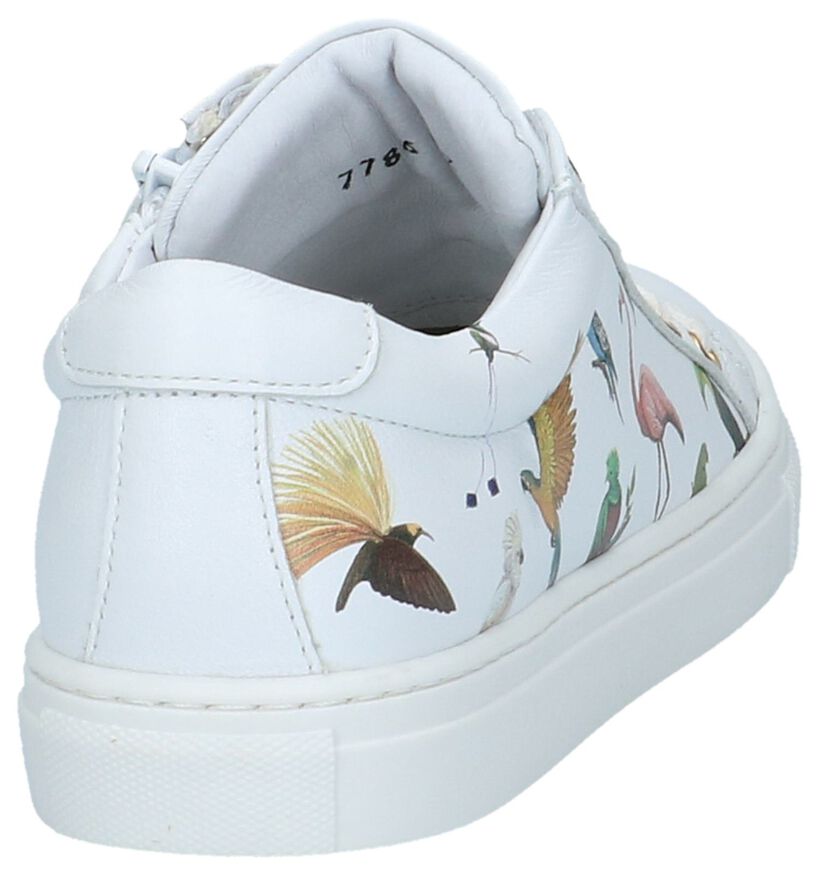 Hampton Bays Witte Sneakers Rits/Veter met Tekening Dieren in leer (213237)