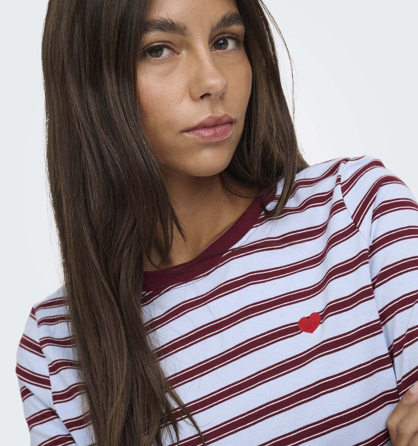 JDY Pisa Blauwe T-shirt met Lange Mouwen voor dames (382065)